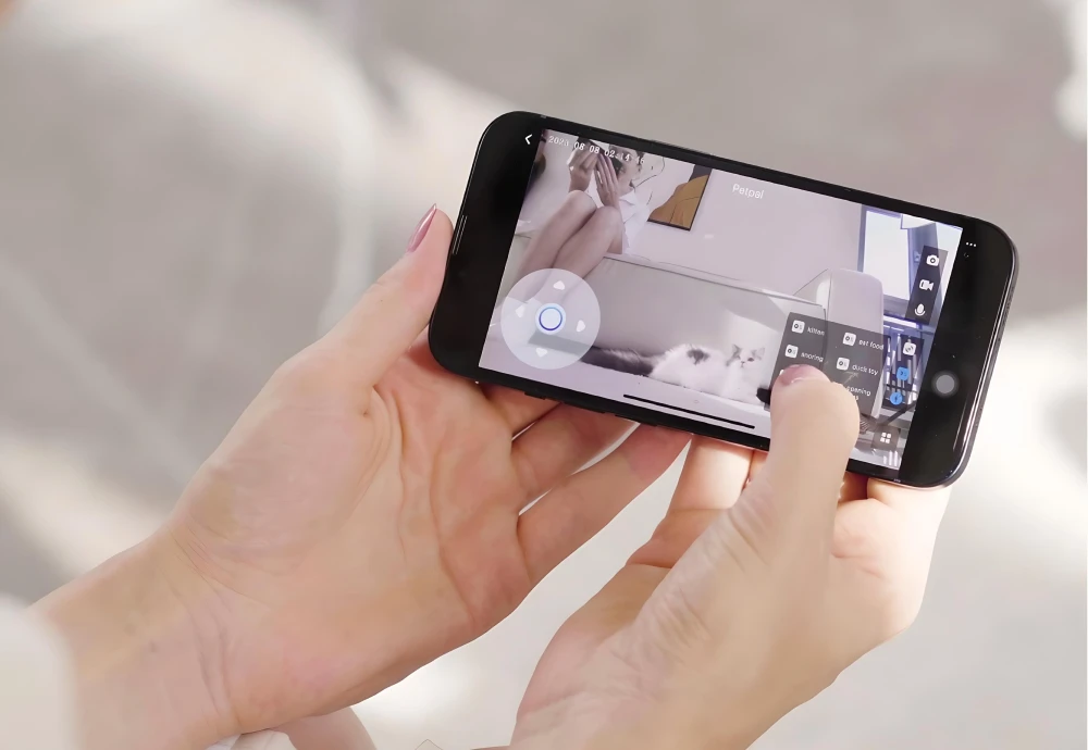 best pet security camera